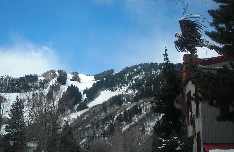 Tyrolean Lodge - image 45