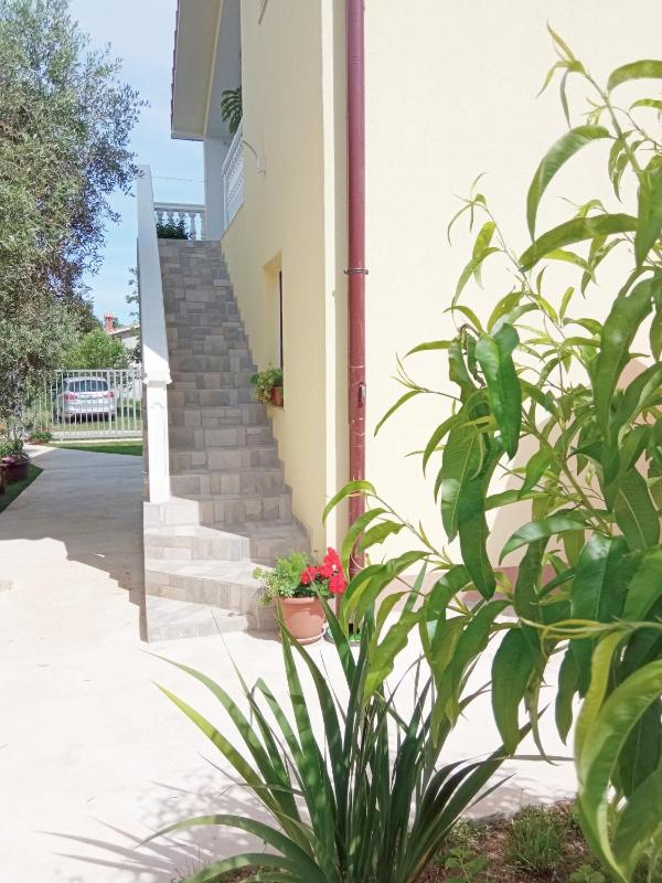 Apartment Rosa - image 9