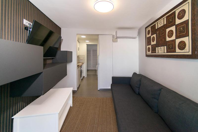 WELCS APARTAMENTO 342 PDA con terraza - image 7