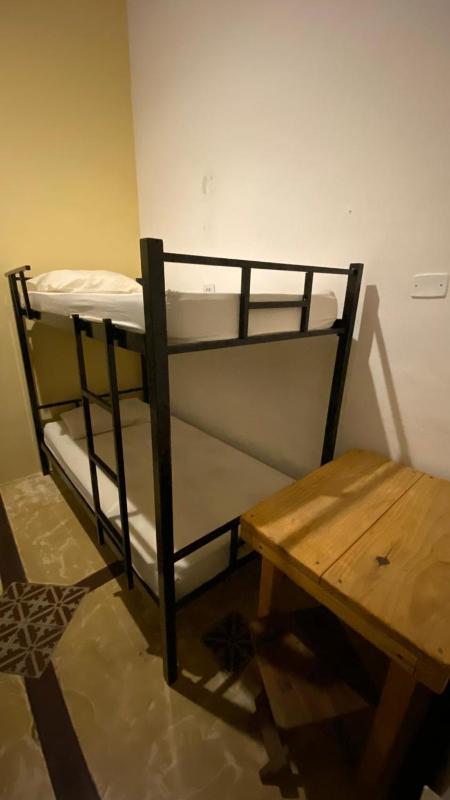 Tropicália Hostel e Pousada - image 33