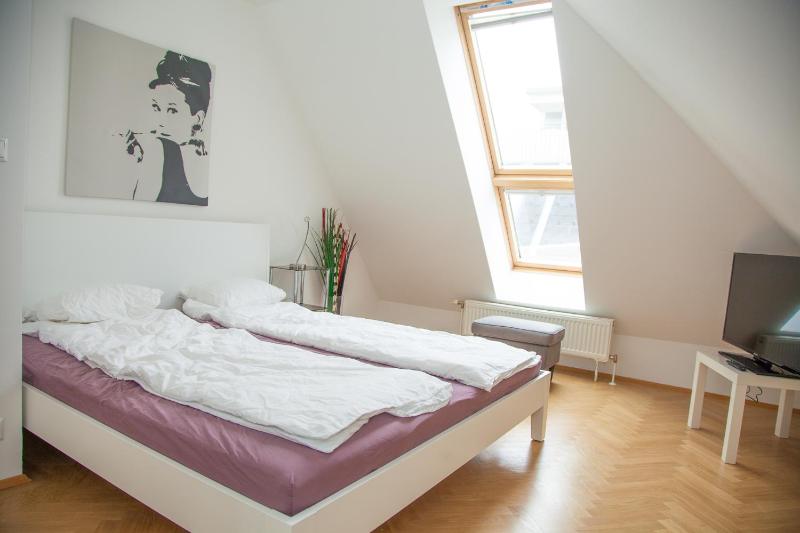  Two-Bedroom Apartment with Terrace and Air Condition image 4