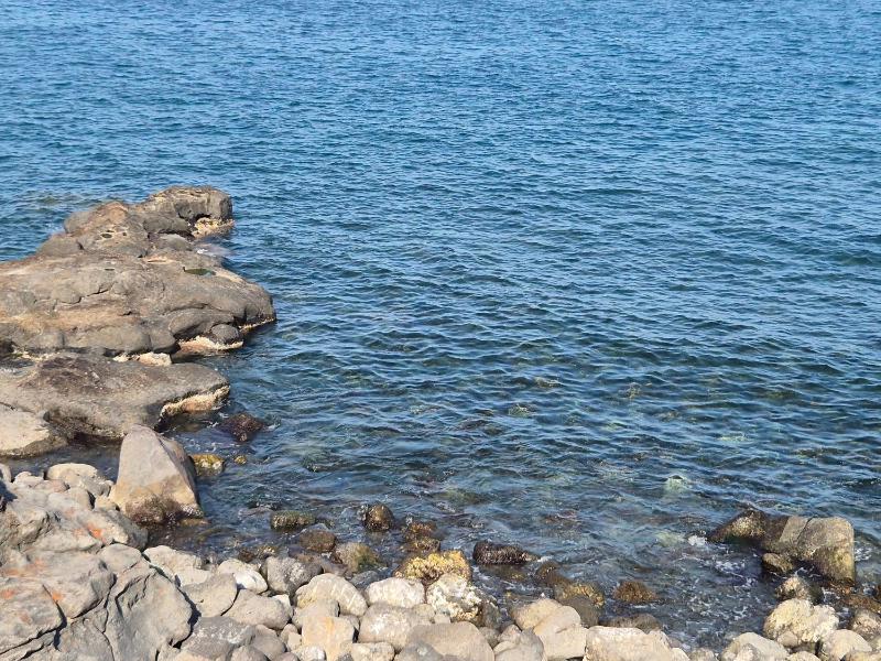 U Cori A&G MONOVANO Piano terra Parcheggio gratis  13 dal Mare - image 12