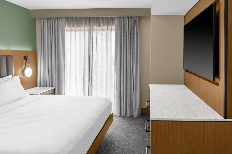 Embassy Suites By Hilton San Antonio Riverwalk-Downtown - image 33