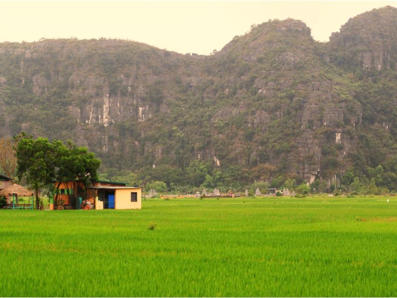 Tam Coc Viet Ha Homestay - image 49