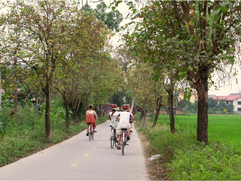 Tam Coc Viet Ha Homestay - image 41