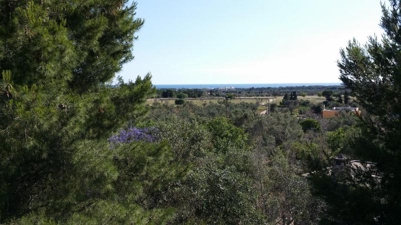 Two-Bedroom House image 3