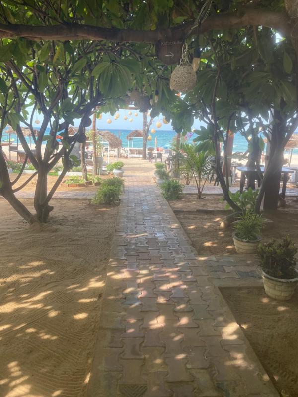 D & D Beach Resort - image 39