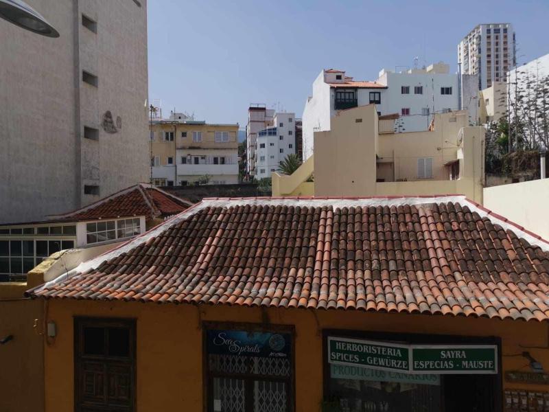 Charming Refuge In San Telmo - image 6