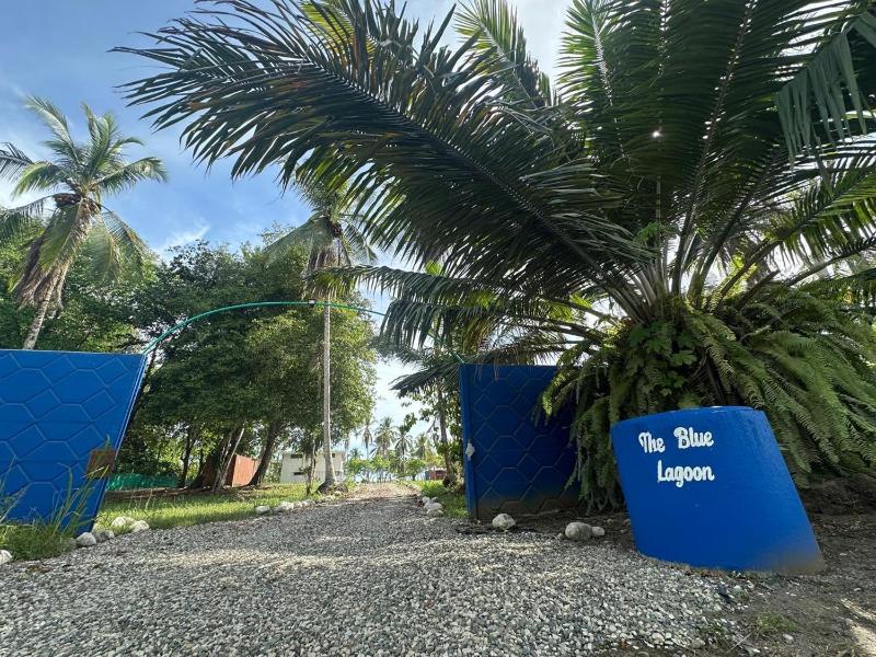 The Blue Lagoon - image 1