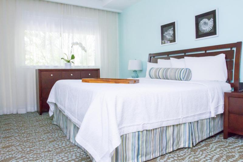 Signature Apartment Suite King image 2