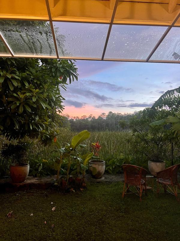 Hidden Tropical Villa with Private Pool and more! - image 8