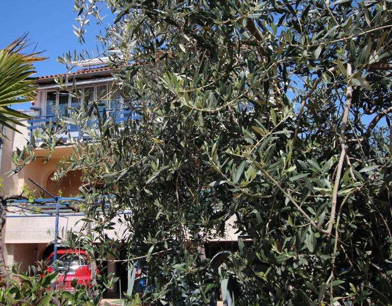 Casa Villa TATIANA MARE - image 35