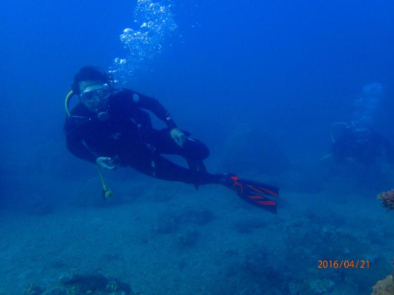 Blue Ocean Sunny BS - image 33