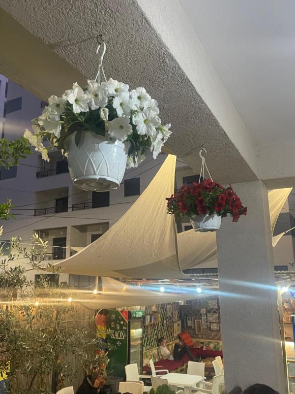 Vlora Backpackers Hostel & Bar LUNGOMARE - image 14