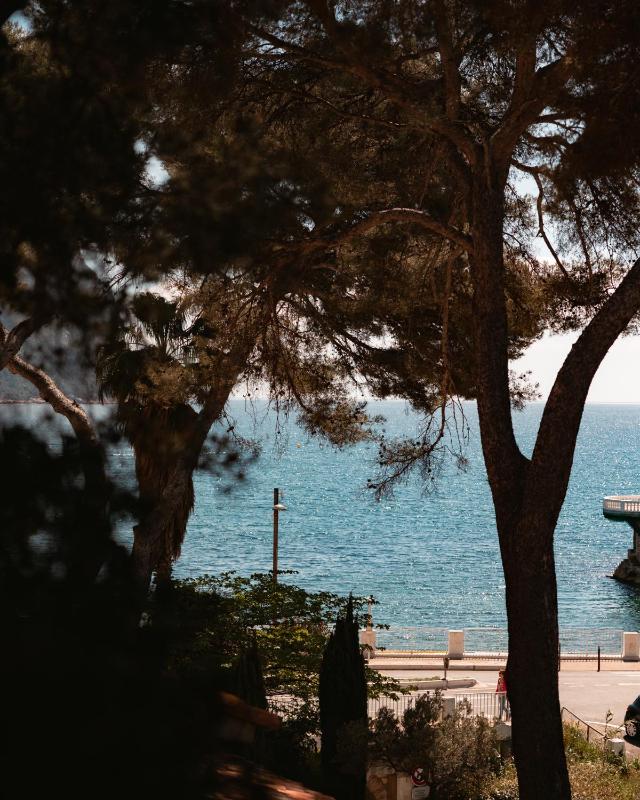 Le Jardin d'Emile - image 45
