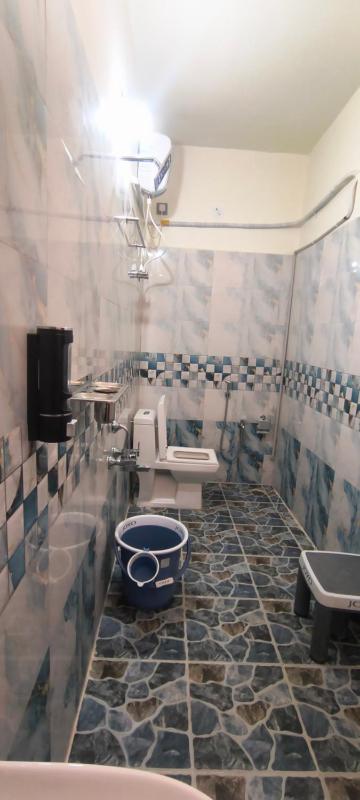 Mani Homestay Hampi - image 15