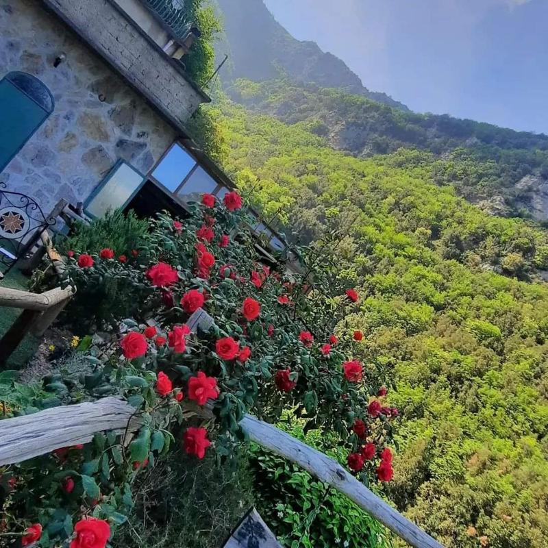 Rifugio Capo Dacqua - image 42
