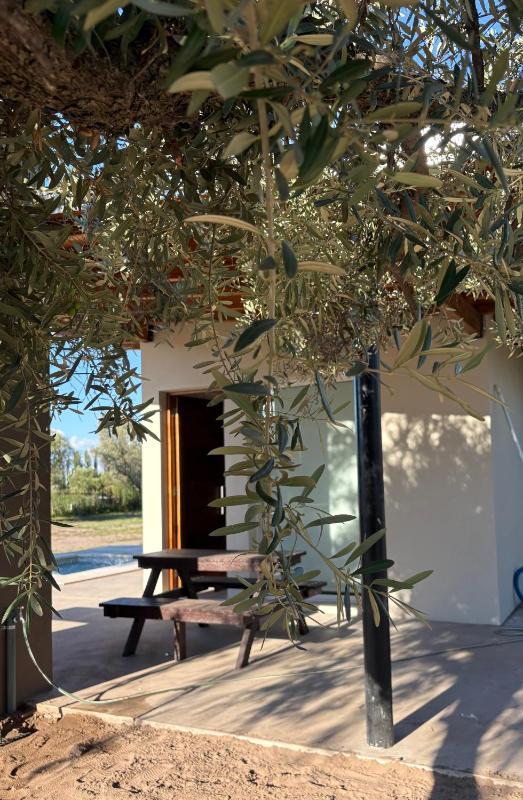 Del Sur Cabañas by CePa - image 48