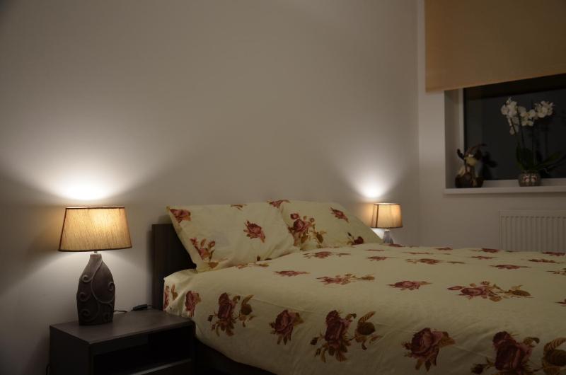 Superior Apartment image 3
