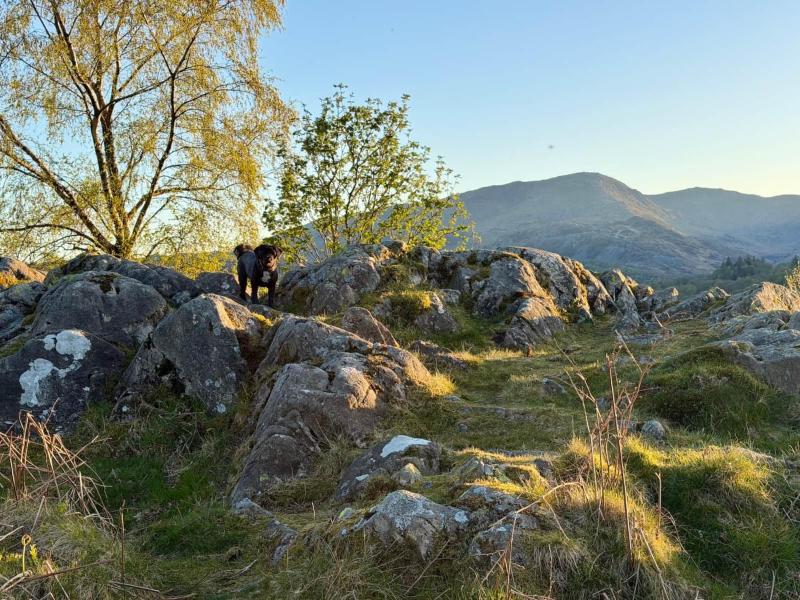 Lake District Woodland Cabin - Close to Ambleside & Langdale Valley - image 7