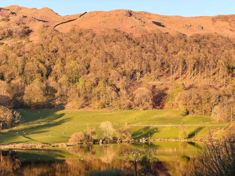 Lake District Woodland Cabin - Close to Ambleside & Langdale Valley - image 16