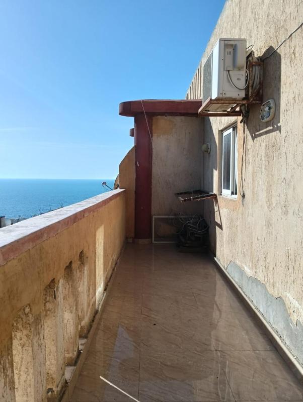 Olive Suites - image 3
