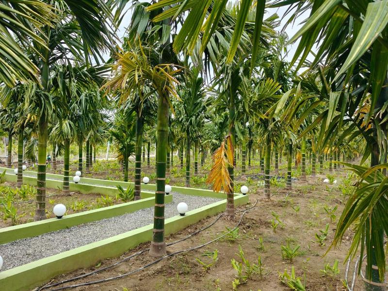 Siruvani Farm Stay (Near Isha Yoga/ Adiyogi) - image 21