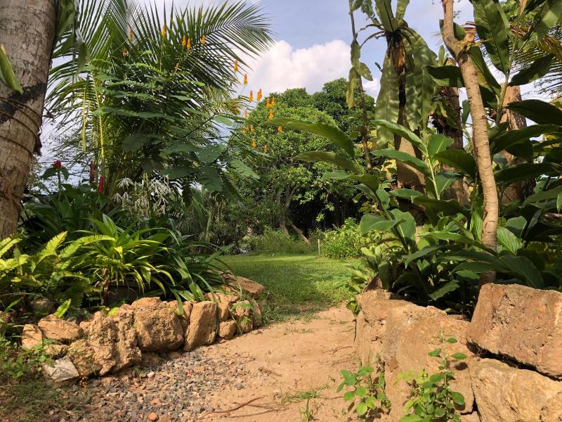 Aurora Eco stay - image 16