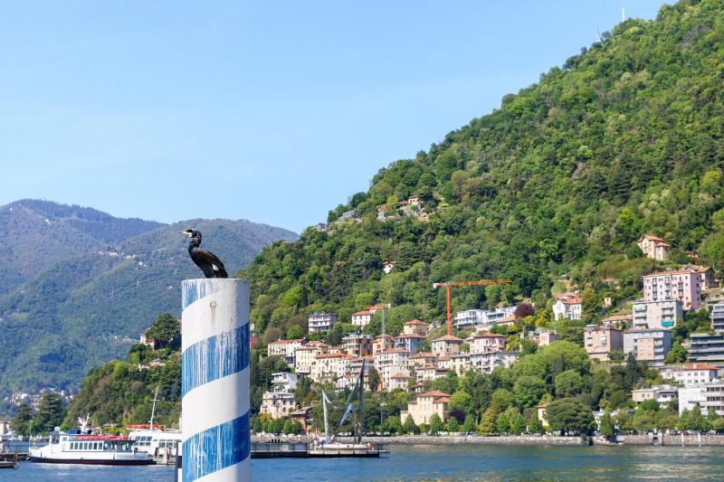 7 Archi rooms in Como - image 24