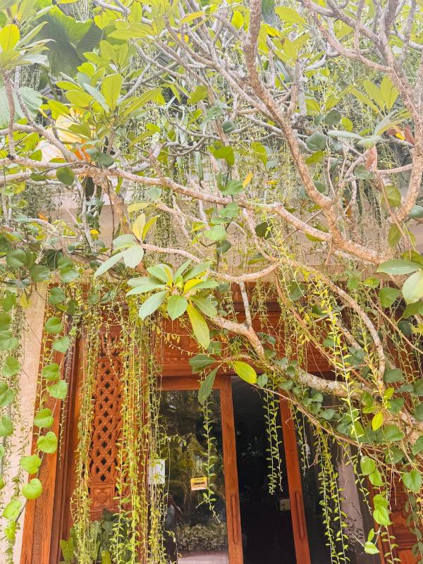 Spicepeek Boutique Hotel CMB Airport - image 46