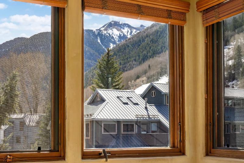 Telluride Lodge 326 - image 29