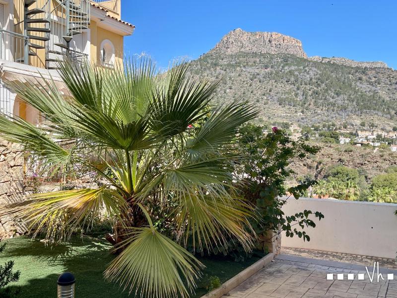VH CostaBlanca - MARYVILLA - image 36