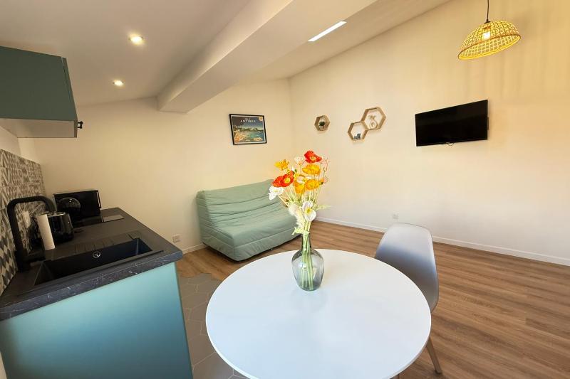 Viel Antibes - studio rénové & plein de charme - image 11