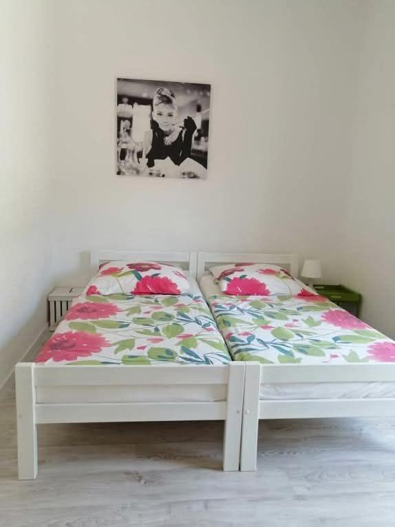 Apartments Tomo - near airport - image 19