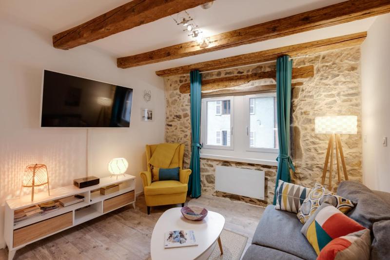 Le Paquier 9 The charm in the heart of the Old Town 150m from the Lake - image 26