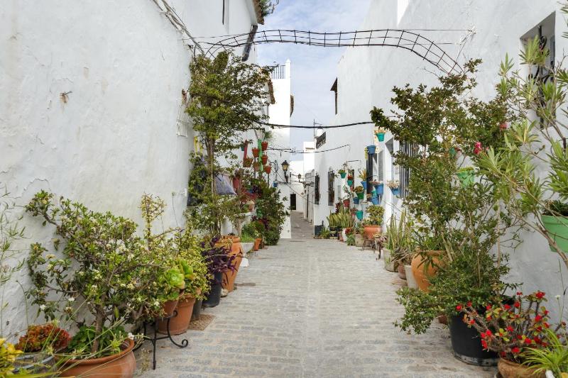Centrico Apartamento en Vejer - image 5