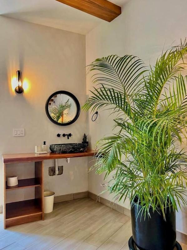 Luxury Studio 204 in Zona Romantica - image 14
