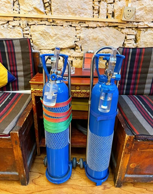 Shambhala Palace Hotel - image 10
