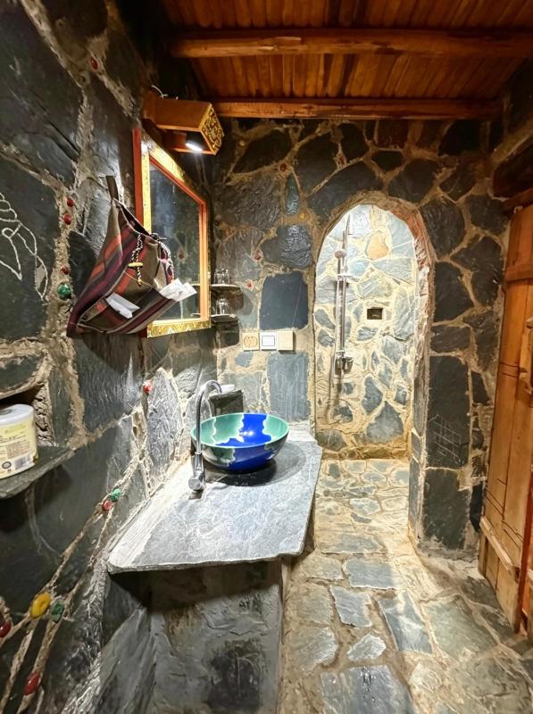 Shambhala Palace Hotel - image 12