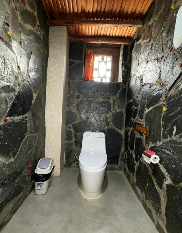 Shambhala Palace Hotel - image 16