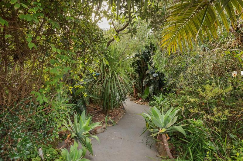 Seaview Escape - image 24