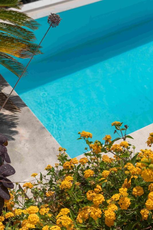 Luxury Villa Hvar Carpe Diem newly renovated with private pool by the sea - image 21