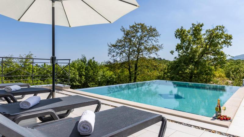 Villa Ruscus with pool Opatija Veprinac by Villas Guide - image 2