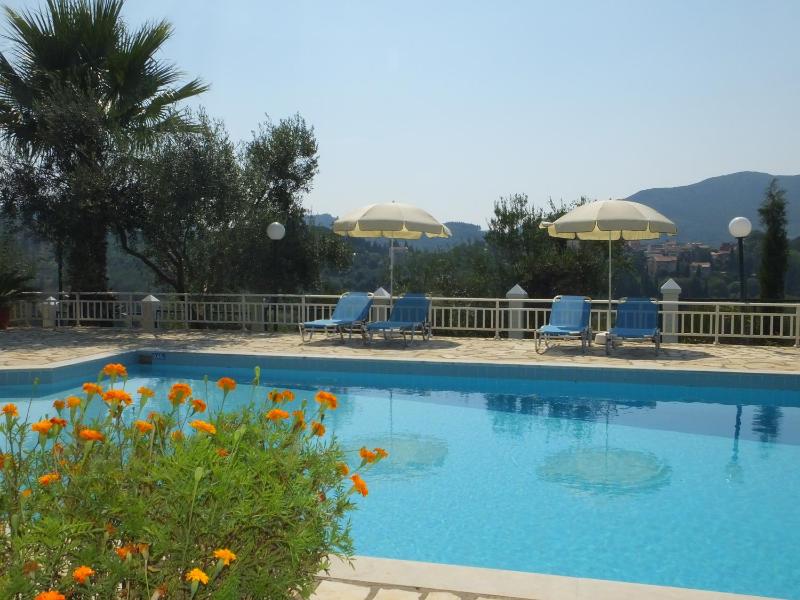 Superior Villa image 2