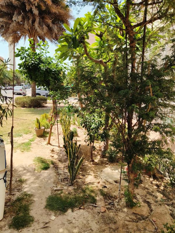 Shyam sundar kutir 2 BHK luxurious apartment - image 44