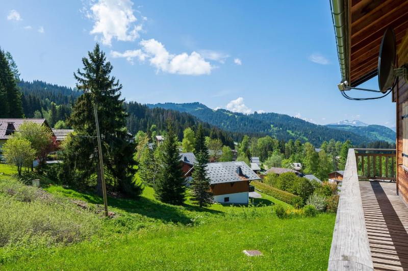 Chalet Celine - image 13