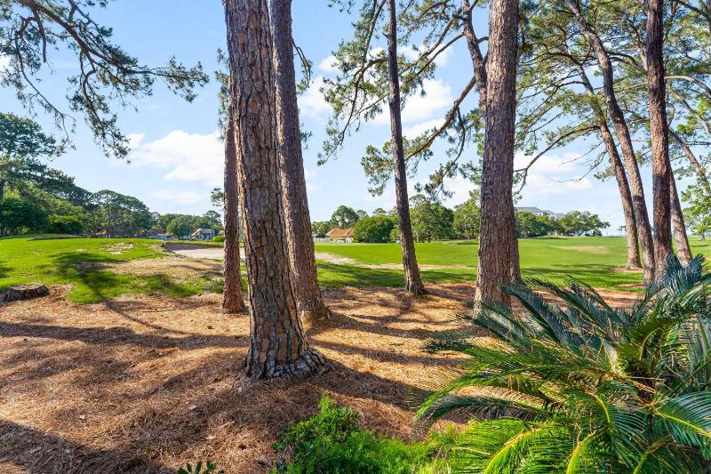 Fairways on Eagle Drive - image 9