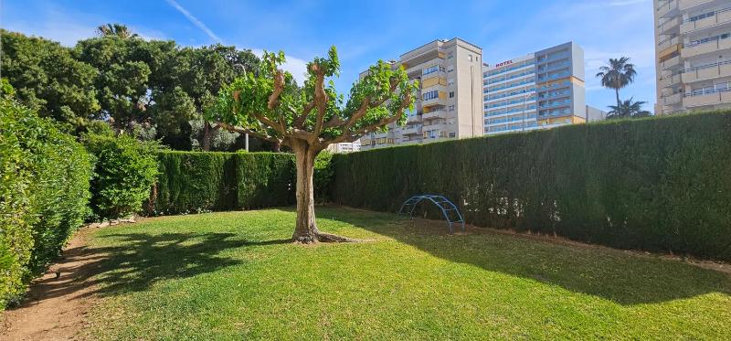 Apartamentos Marblau Tahiti II 7º-Julio y Agosto SOLO FAMILIAS - image 23