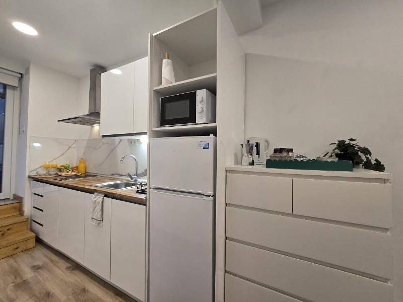 Loft Centrico Tantín RH 17 - image 29