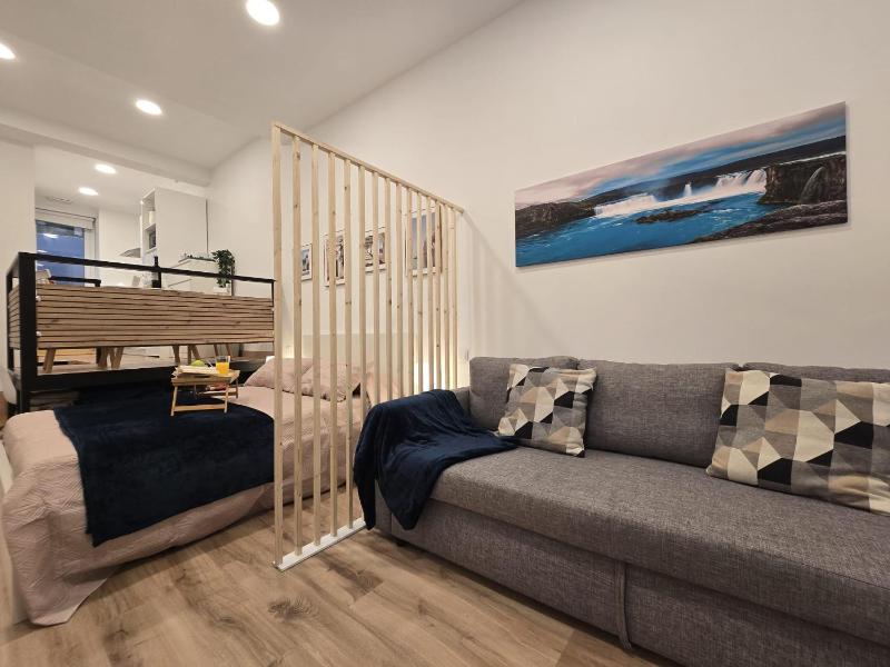 Loft Centrico Tantín RH 17 - image 12